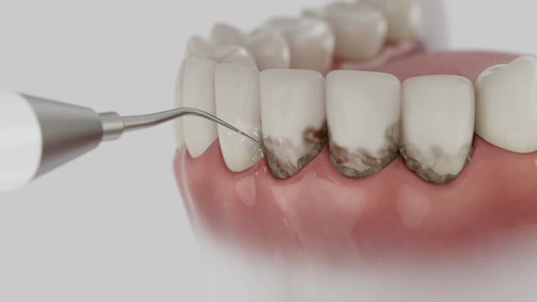 Reliable Dental contractor in White Oak, MD by Dentist Open Now